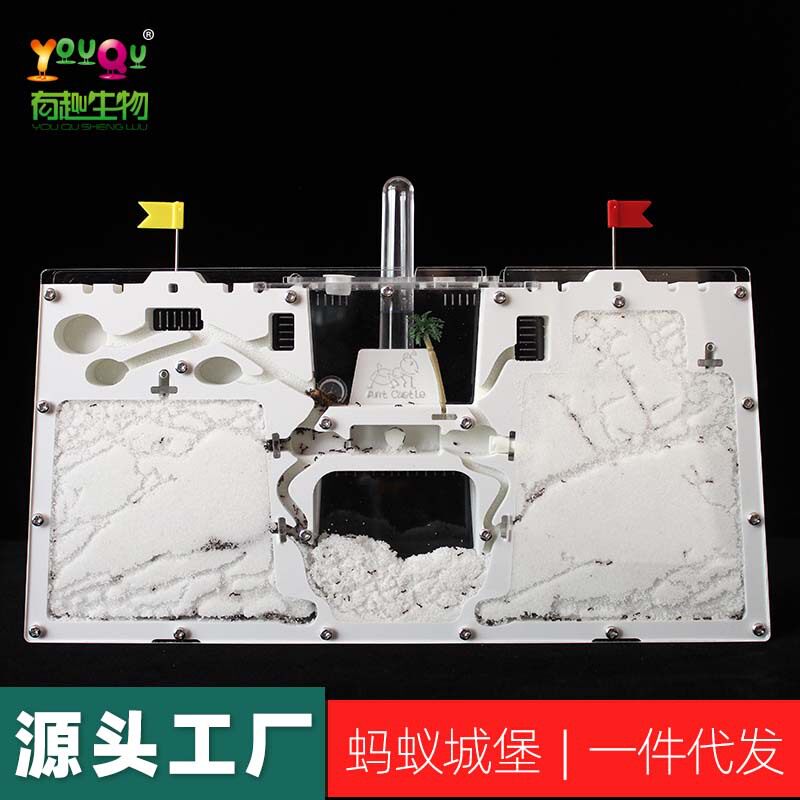 【蚂蚁双城堡S13】蚂蚁工坊科学试验教具生态箱蚁巢王国屋沙土窝