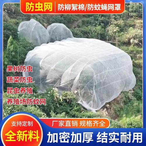 防虫网大棚专用果树网o罩蔬菜防虫网养猪殖厂防蚊网家用纱网加厚