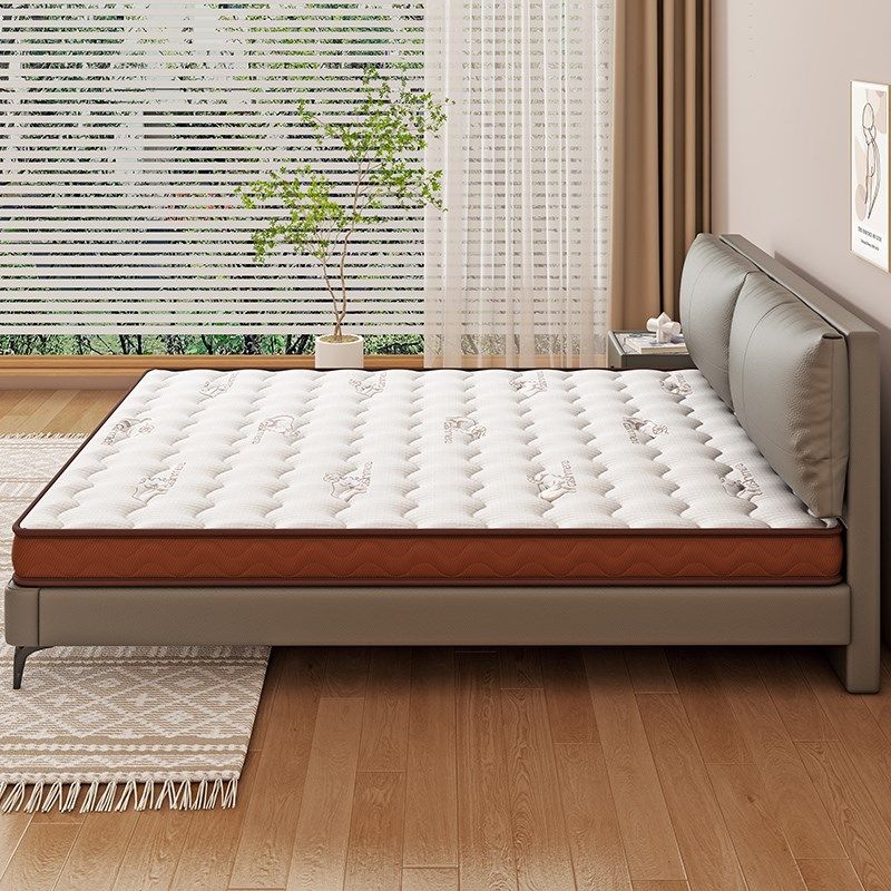 床垫天然椰棕垫家用折叠棕榈硬垫1.5米儿童软垫1S.8卧室专用床垫,住宅家具,椰棕床垫,淘宝优惠券,粉丝福利购,淘宝优惠卷