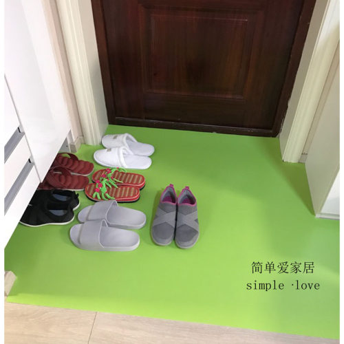 入户门新款成品防水防尘 耐用好打理PGVC地垫 玄关免洗垫可定制