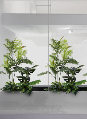 彷真绿色植物造景落地花箱散尾龟背树盆I栽园景酒店饭厅办公室假
