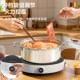 德国电磁炉家用小型迷你电热炉火锅用2024新款 大功率爆炒菜电池炉