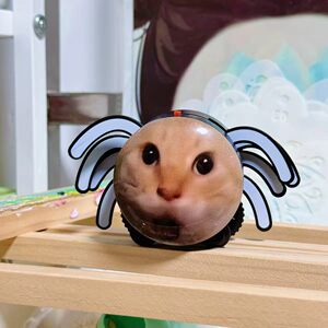 【抽象哈基米】圆头耄耋蜘蛛猫猫