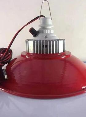 12VLED可调色水果灯夜市灯电动三轮车48V60V生鲜灯红色灯地摊灯