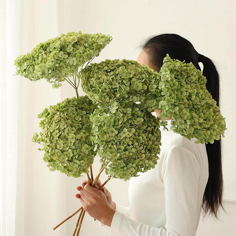 高级感绣球干燥花花束真花风干天然干燥树枝装饰永生花客厅餐桌艺,家居饰品,干花/花瓣/干花包/干树枝,淘宝优惠券,粉丝福利购,淘宝优惠卷