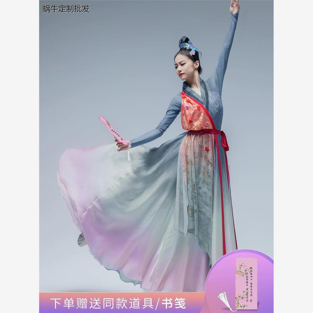 古典舞蹈演出服女成人桃