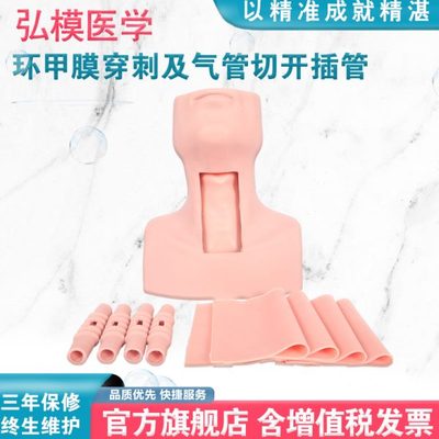 弘模气管切开插管训练模型 环甲膜穿刺模型 气道处理模型 气管插