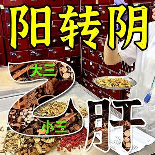 转阴茶大三阳小三阳去肝火排肝毒茶降转氨酶的胆红素旺盛养护中药