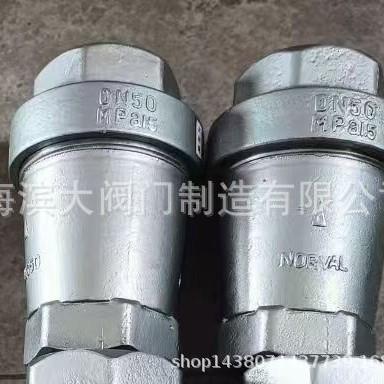 不锈钢锥形逆止阀输灰逆止阀 ZNF丝扣专用止回阀逆止阀DN15-DN50