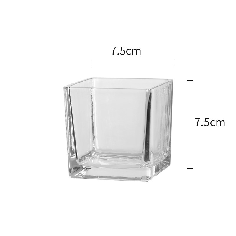 简约现代玻璃花瓶透明水养植物绿萝客厅装饰插花瓶小摆件水培马小