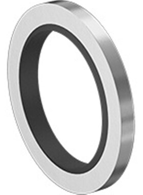 Metric Male 耐极压316不锈钢垫圈 1M10P210