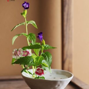 花插滤水碗家居装 陶瓷插花器日式 饰品摆件复古粗陶碗茶桌茶席道具