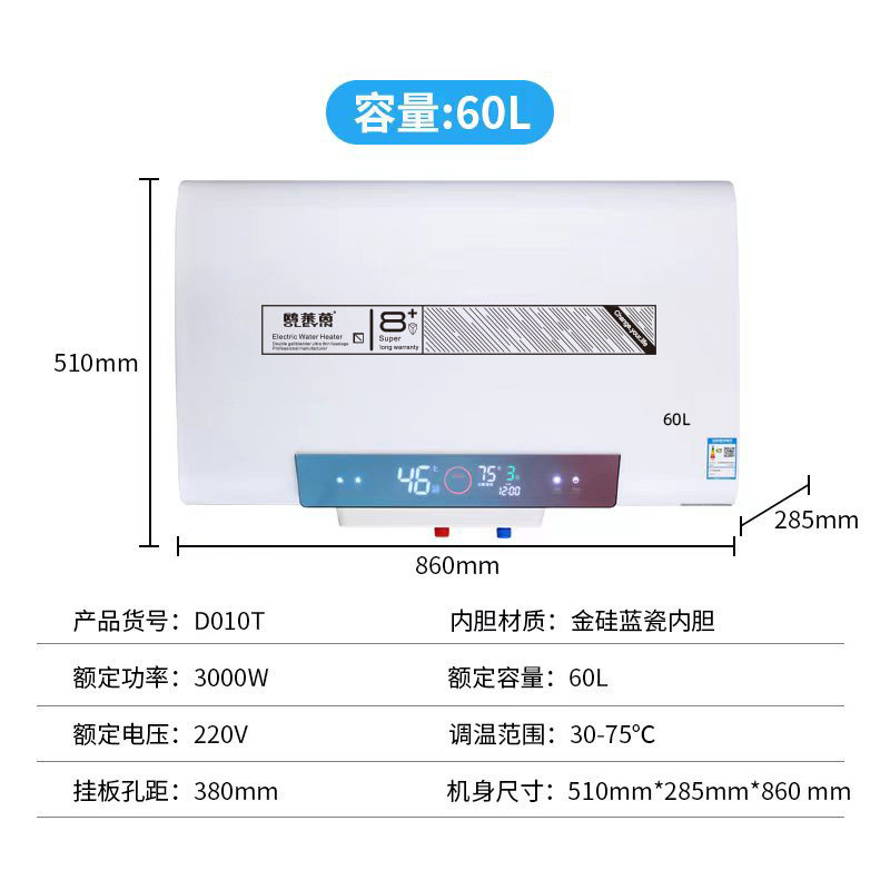 家用储水式电热水器大容量速热电热水器节能温控60L80L热水器