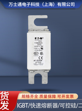 170M2608170M2609170M2610170M2611170M2612170M2613熔断器现货