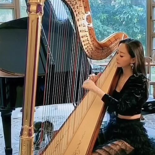 优选天津市竖琴箜篌上门调音调试修理服务