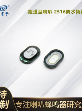 供应FEUT 2516跑道双磁喇叭25*16*4.8mm尺寸防水喇叭对讲机扬声器