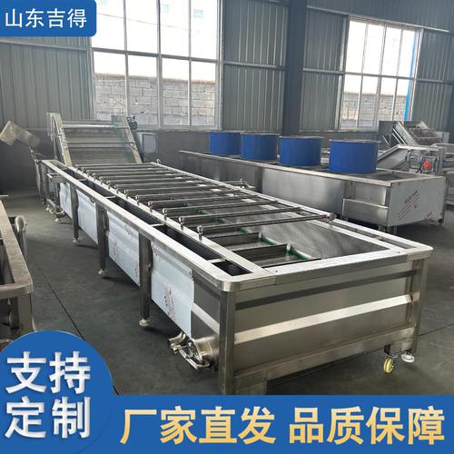 贡菜茼蒿辣椒去泥清洗机 杨梅蓝莓气泡清洗机 真空袋装鼓泡清洗机