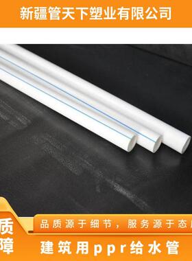 160白色ppr水管冷热水管 PPR给水管供水管道管材生产批发厂家