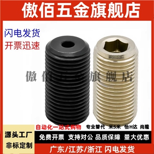 M16 M12 M20 M24 L10L15L20L25L30L35 调整螺丝螺栓PAF01 M30