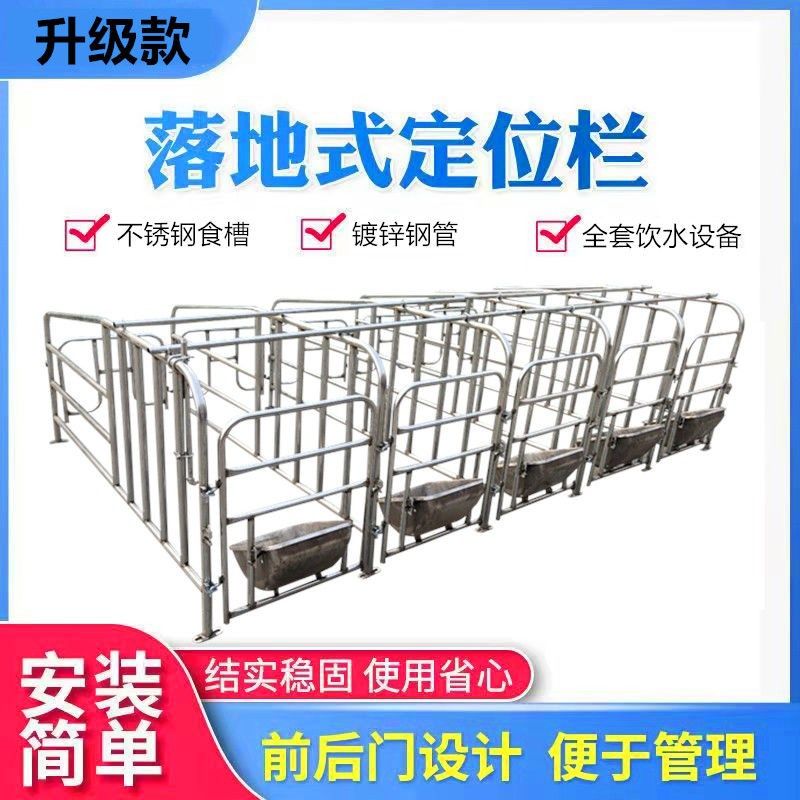 优选落地式母猪定位栏限位栏猪用栏位养猪设备新款加厚母猪栏位猪
