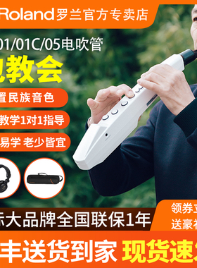 优选Roland罗兰电吹管乐器AE01娱乐初学ae05/01c电子萨克斯葫芦丝