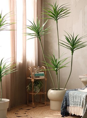 优选大型仿真绿植龙舌兰假树轻奢植物盆栽咖啡馆室内设计装饰落地