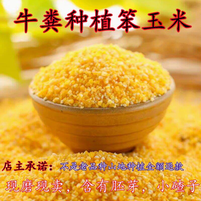 新鲜陕北现磨大碴子农家棒子玉米小碴子茬子苞米杂粮