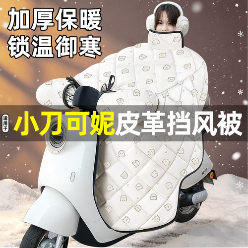 适用小刀可妮智荟版电瓶电动车专用挡风被冬季加绒加厚装饰小配件 - 封面