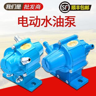 电动油泵24v12v五十铃汽车货车水泵柴油泵外置抽油泵 晶体管电磁式