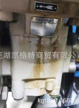 供应德国RICKMEIER瑞克梅尔齿轮泵R45/80 FL-Z-R 风电配套润滑泵