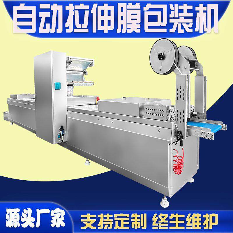 牛肉干拉伸膜真空包装机 牛肉鲜肉真空设备 牛肉干食品包装真空机