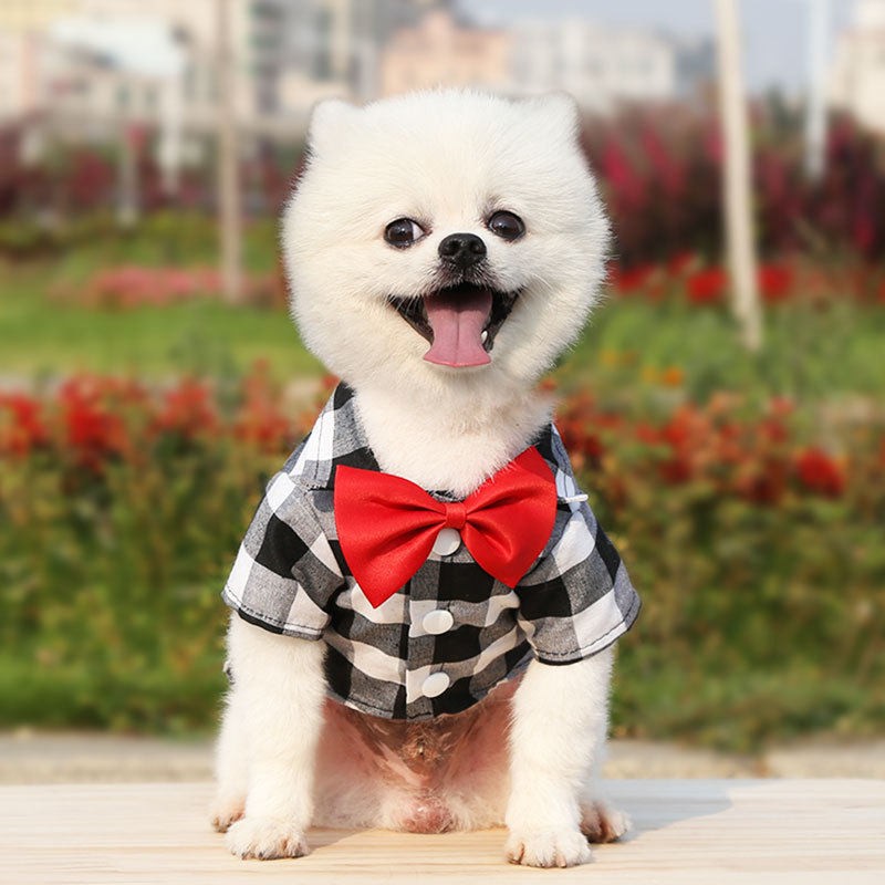宠物衣服狗狗格子衬衫西装礼服泰迪比熊小中大犬服装猫咪服装用品