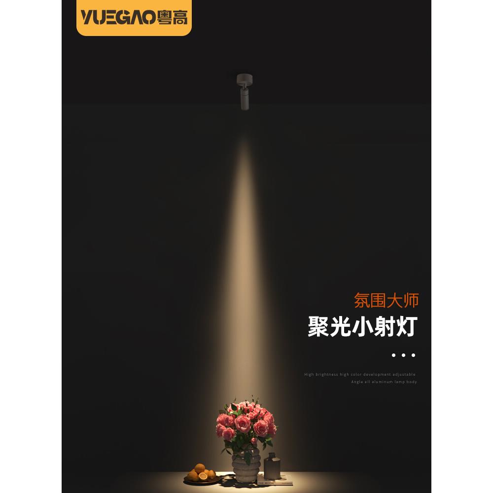 迷你一束聚光led明装轨道灯射灯小角度嵌入式氛围灯茶室餐桌摆件