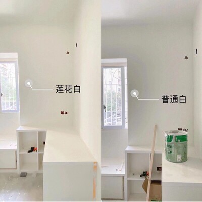 艺术漆网红色浆莲花白象牙白乳胶漆墙面漆雅晶石水性浓缩调色精