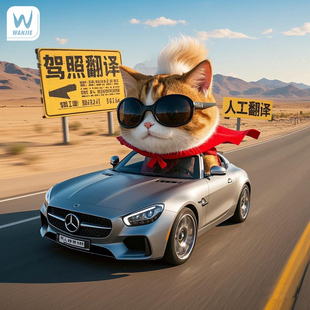 国际驾照翻译件证件翻译文件翻译公证英语法语俄语中文人工翻译