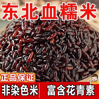 东北正宗血糯米黑糯米粘黏新米饭