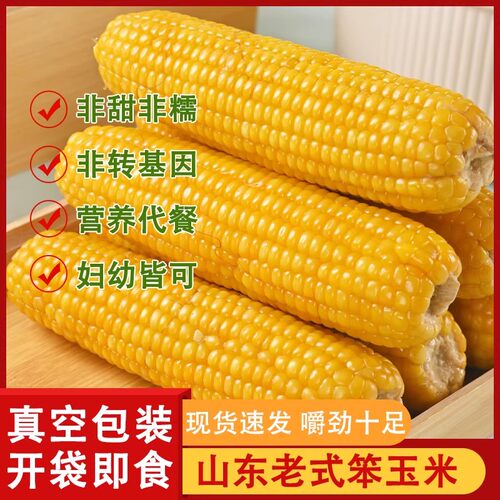老式笨玉米传统黄玉米代餐有嚼劲