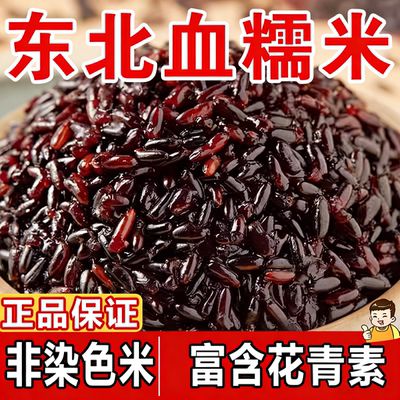 东北正宗血糯米黑糯米紫粘黏杂粮
