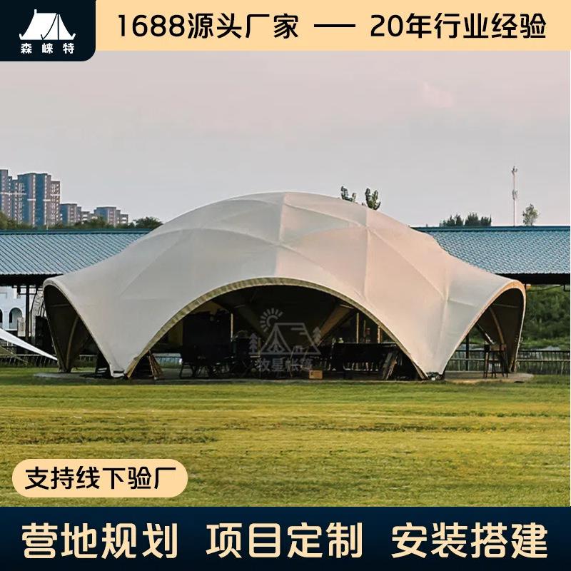 户外大型穹顶天幕展览帐篷露营团建活动餐饮定制工厂定制帐篷