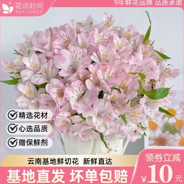 花点时间水仙百合鲜花云南基地直发鲜切花家用水养花瓶插花鲜花束