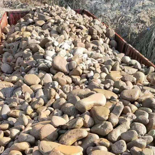 批发鹅卵石园林景区公园铺路石子河沙石江溪水冲洗石头天然石