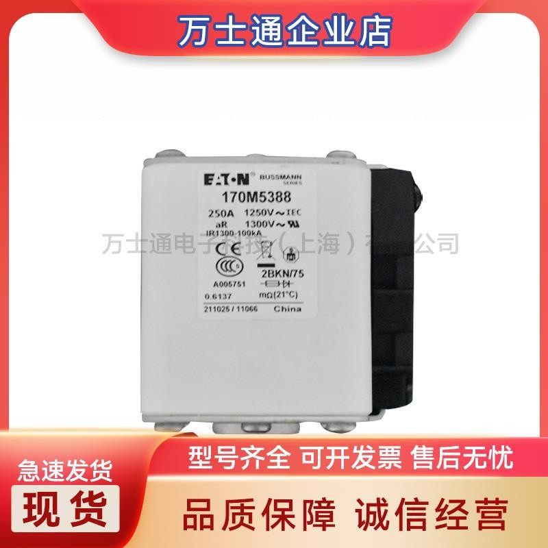 170M5808D 170M5809D 170M5810D/5811D/5812D/5813D全新熔断器