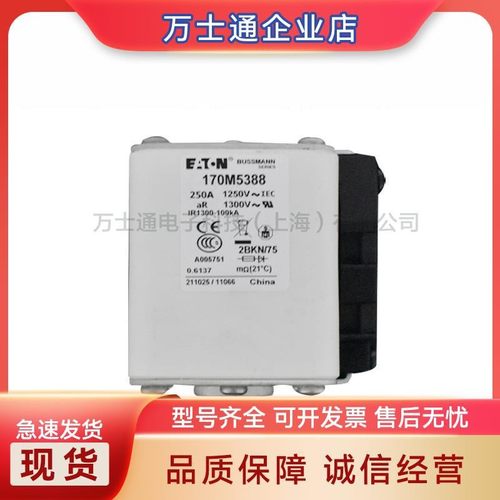 170M5808D 170M5809D 170M5810D/5811D/5812D/5813D全新熔断器