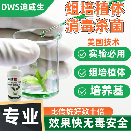 外植体组培器培养基消毒液