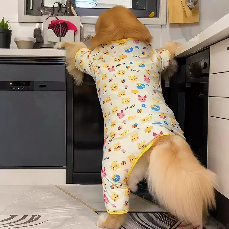 狗狗衣服秋冬降温金毛连体四脚