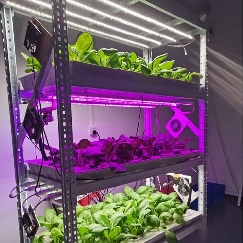 厂家直销无土栽培植物种植大棚架温室蔬菜设备潮汐盆种植架货架