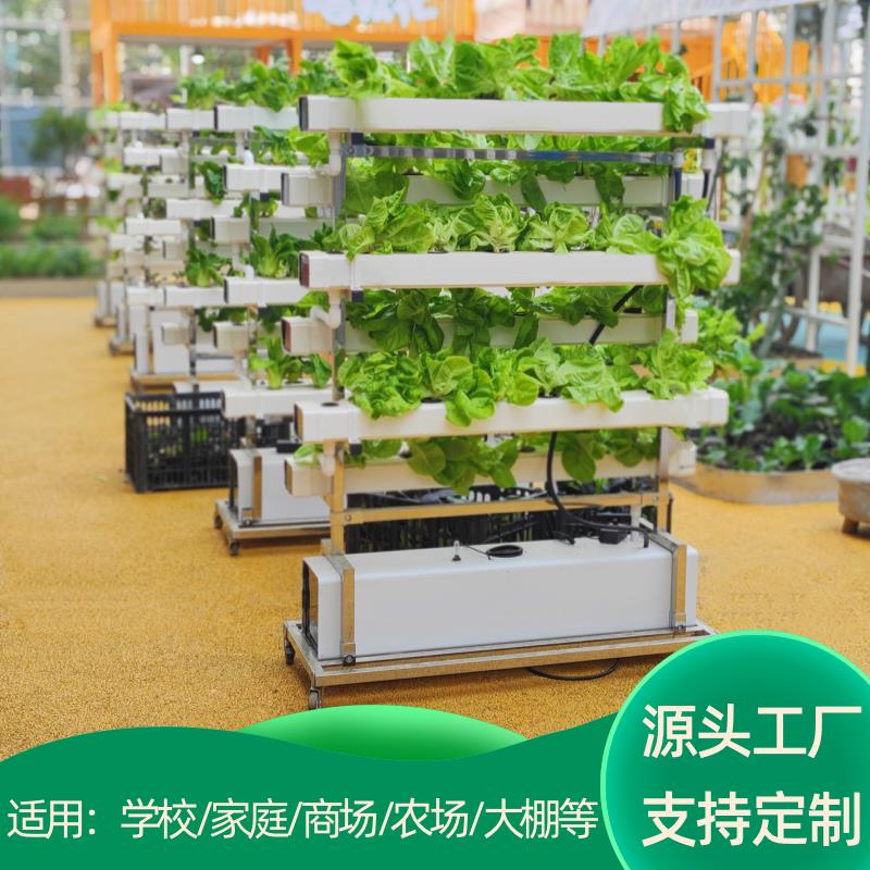 NFT无土栽培蔬菜草莓种植双面垂直架水培设备阳台水耕多层种菜机