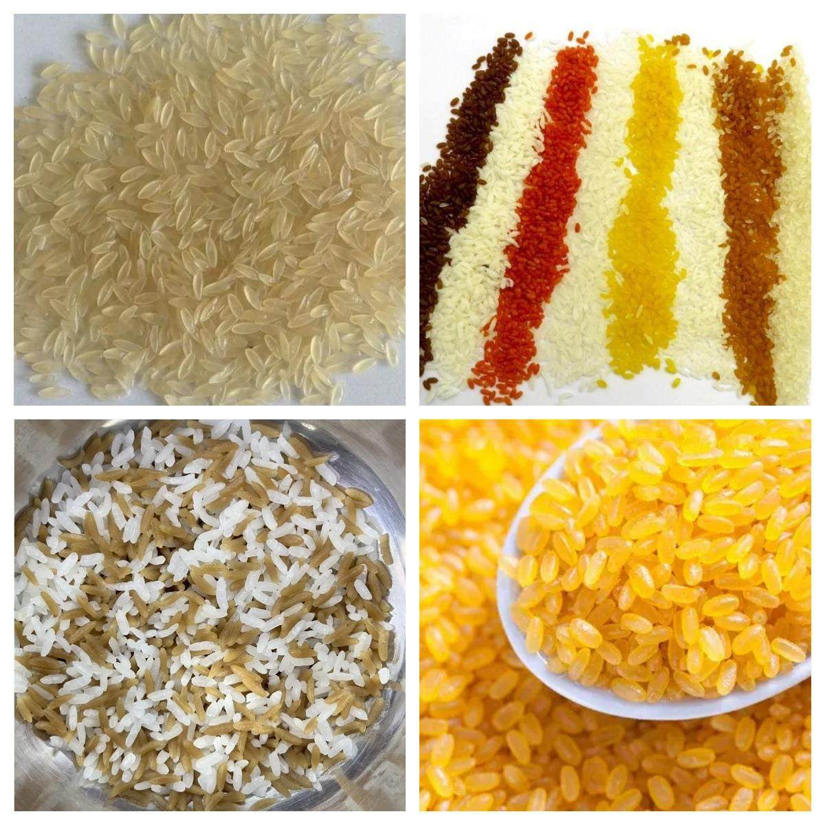 100kg营养米生产线 大米膨化机 冲泡营养米设备 即食速食米生产线,清洗/食品/商业设备,休闲食品加工设备,淘宝优惠券,粉丝福利购,淘宝优惠卷