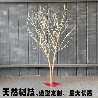 优选原木树枝干树枝 树枝造景 室内造型树枝枯树枝装饰 去皮树枝