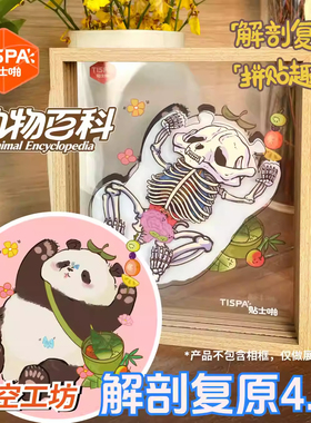 Tispa新奇贴纸拼图动物人体构造解剖益智解压玩具儿童成人玩熊猫